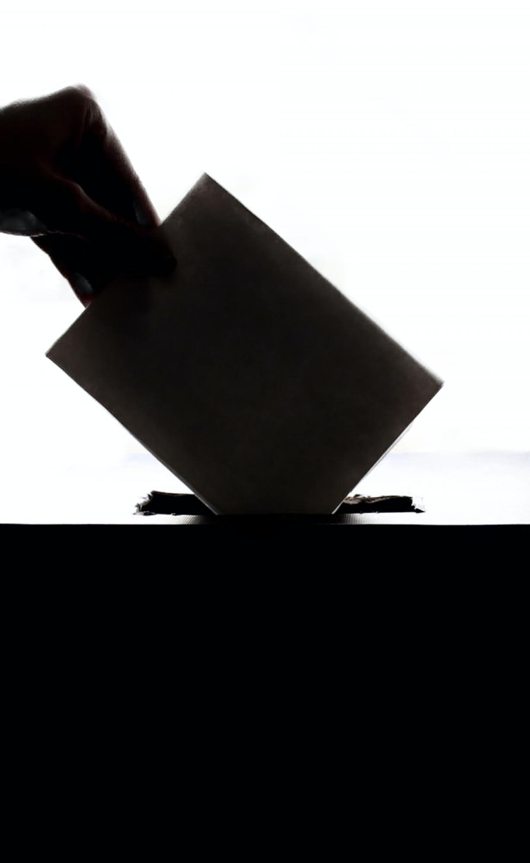 Hoe hoog is het opkomstpercentage bij de Europees Parlementsverkiezingen?