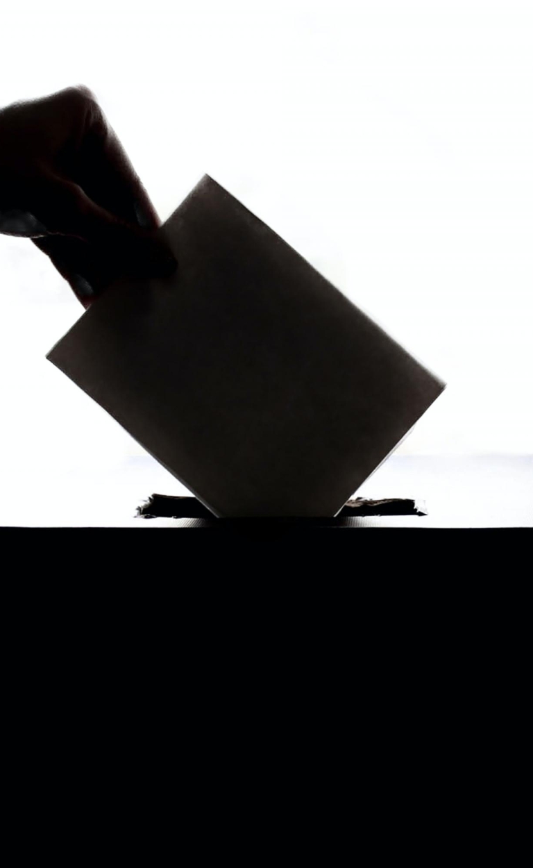 Hoe hoog is het opkomstpercentage bij de gemeenteraadsverkiezingen?