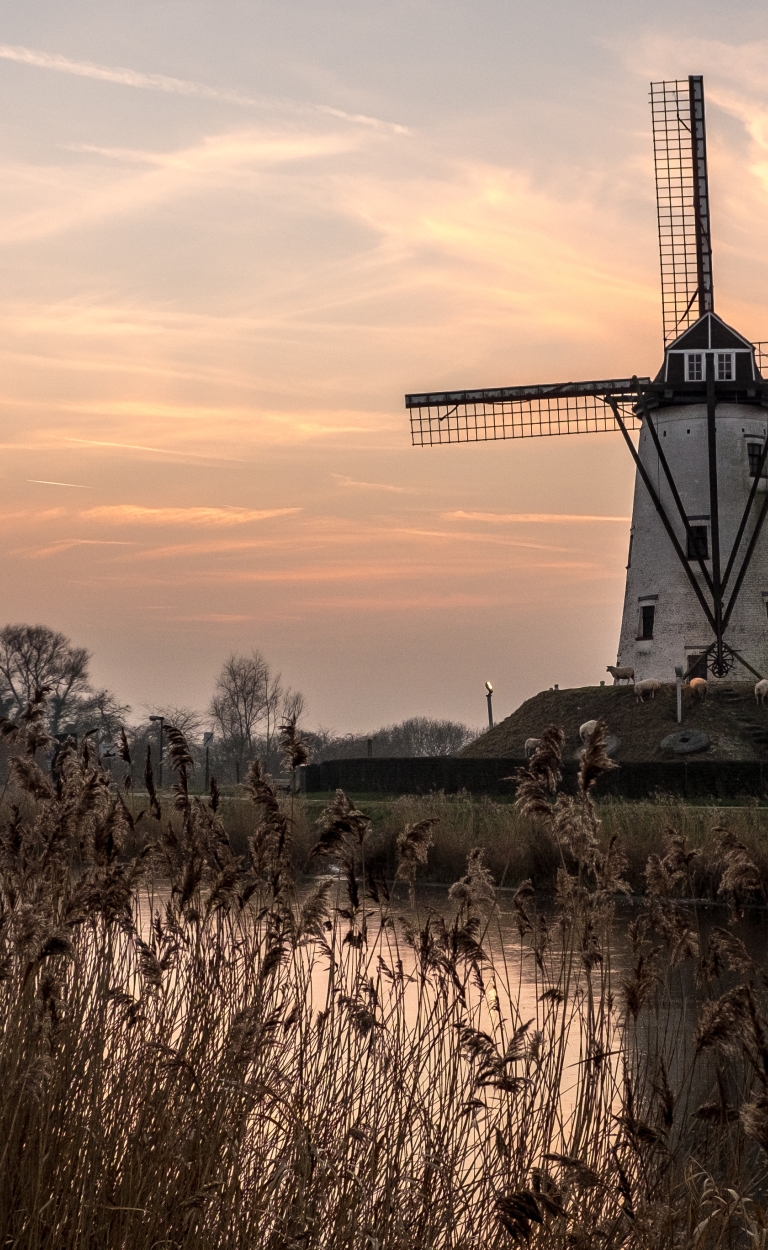 Warmtetransitievisie - Gemeente Molenlanden