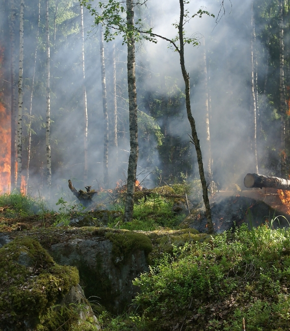 Belevingsonderzoek - Veiligheidsregio’s Limburg
