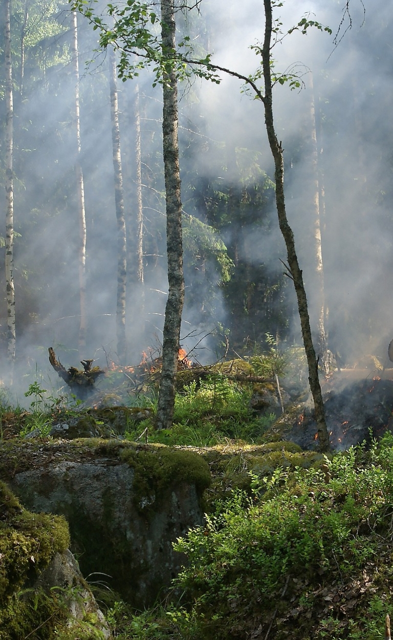 Belevingsonderzoek - Veiligheidsregio’s Limburg
