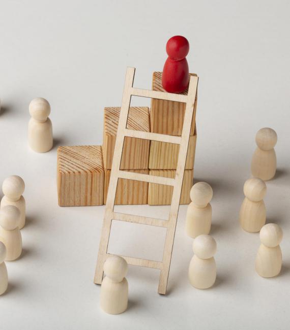 De participatieladder