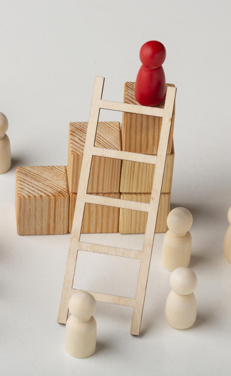 De participatieladder