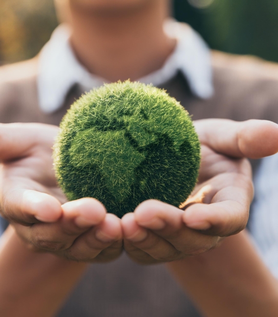 Warmteprogramma Molenlanden